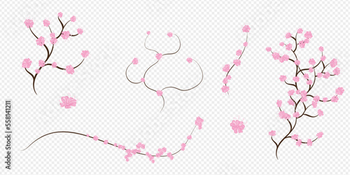 vector cherry blossom, sakura branch with pink flowers