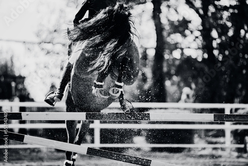 A black-and-white image of a horse jumping over a high barrier, kicking up dust with its hooves. Equestrian sports and show jumping. Horse riding.
