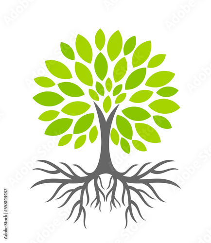 Green tree with roots. Tree icon illustration.