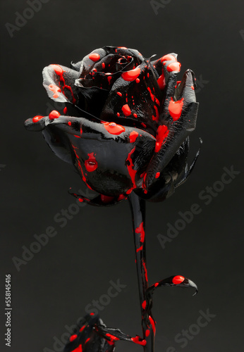 Horror Artistic photo Red and black gothic vampire bloody rose on a dark background.