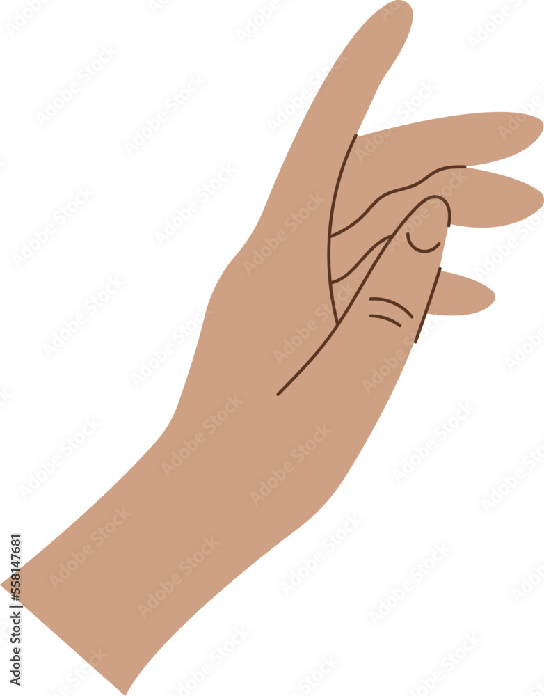 Showing hand and fingers flat icon Showing hand and fingers flat icon