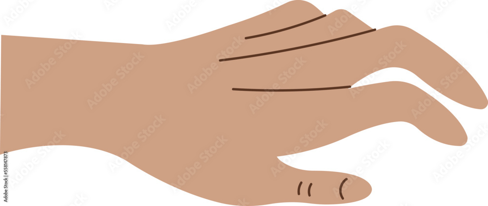 Showing hand and fingers flat icon Showing hand and fingers flat icon