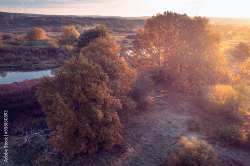 Obraz na płótnie Beautiful landscape of autumn nature on sunrise. Autumn morning above meadow, river and wood. Hoarfrost on grass and leaves of trees. w salonie
