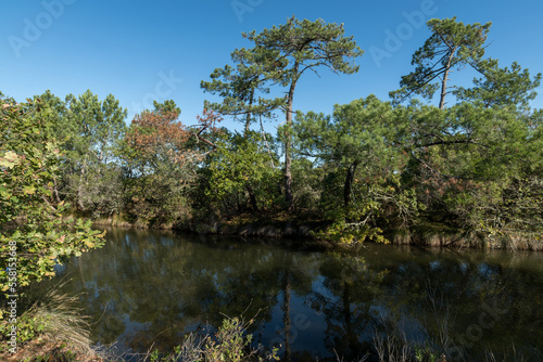 Bassin d’Arcachon (Gironde, France). Réservoir à poissons dans la réserve des prés salés de Lège-Arès