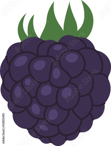 Bramble berry flat icon Organic vitamin fruit