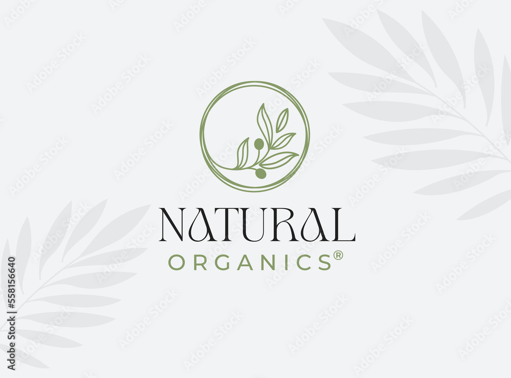 lines circle olive oil leaf logo design vector icon symbol illustration lines circle olive oil leaf logo design vector icon symbol illustration