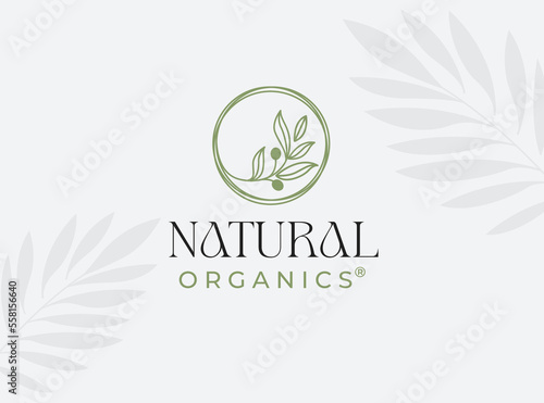 lines circle olive oil leaf logo design vector icon symbol illustration