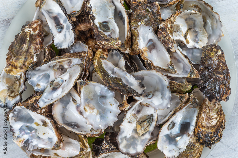 Empty oyster shell to be recycled for health, care, gardening, agriculture, cosmetics, pharmaceuticals Empty oyster shell to be recycled for health, care, gardening, agriculture, cosmetics, pharmaceuticals