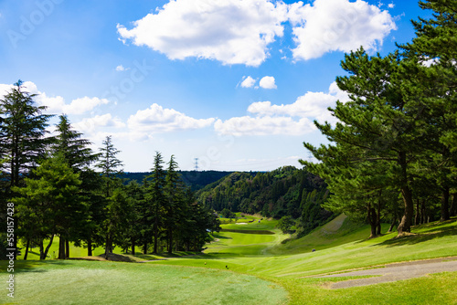 松の木とモミの木のような針葉樹で、和風な打ち下ろしの美しいゴルフコース（千葉県木更津市）