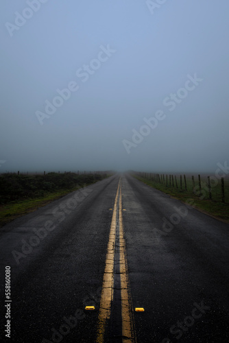 Foggy Road