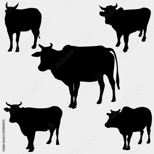 set of silhouettes of dairy cows on white background. vector