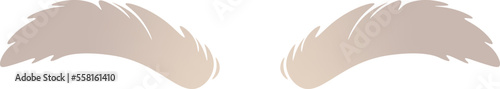 Silver shaggy eyebrows flat icon