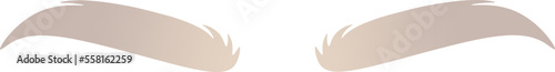 Well-groomed silver eyebrows flat icon