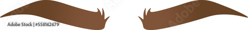 Well-groomed brown curved eyebrows flat icon