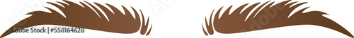 Brown curved shape of eyebrows flat icon