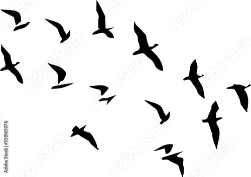 silhouette of a flock of birds © XICONS