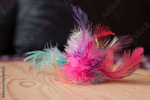 Cat's feather toy on the wooden background