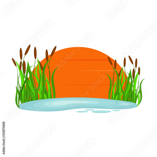 Sedge, reeds on the lake. Beautiful sunset. Vector in the flat style.