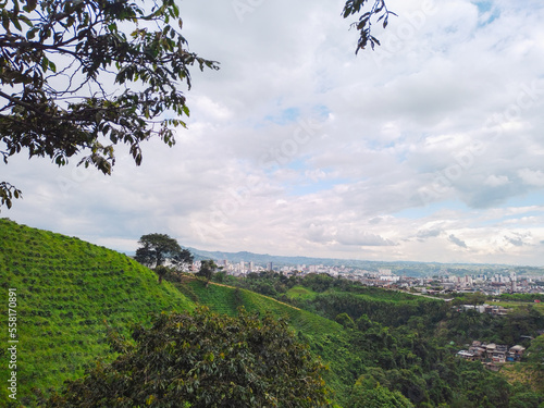 view of a natural Colombian coffee landscape, in the background the city of Pereira, Colombia. photo