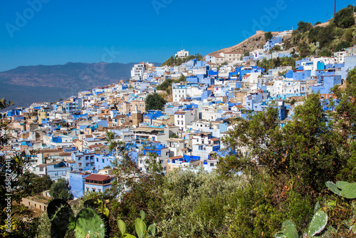 Chefchaouen, a picturesque town in Morocco called the Blue City