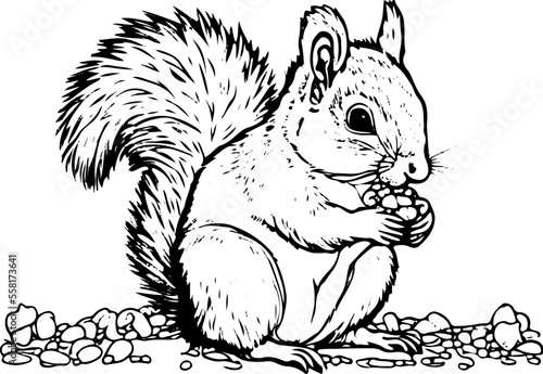 Coloring page for children with cute Animals