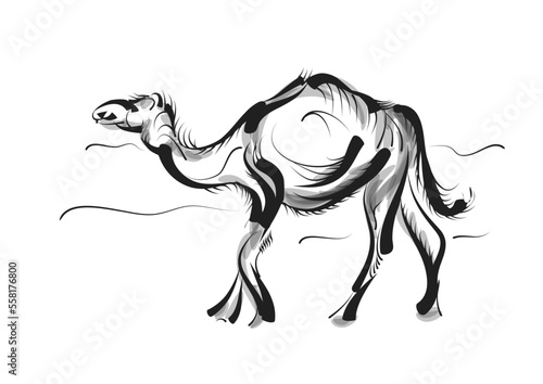 camel vector illustration