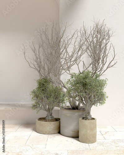 Fotografija Interior walls and plants Mediterranean minimalist interior design ideas