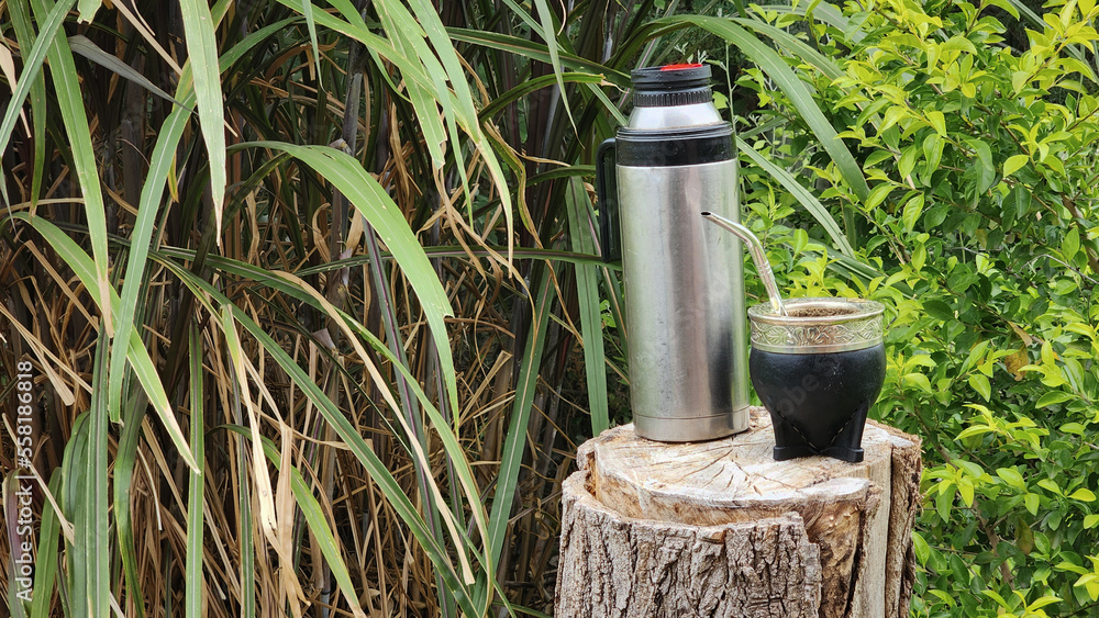 mate and thermos on trunk and green background of leaves in the field, argentina horizontal mate and thermos on trunk and green background of leaves in the field, argentina horizontal