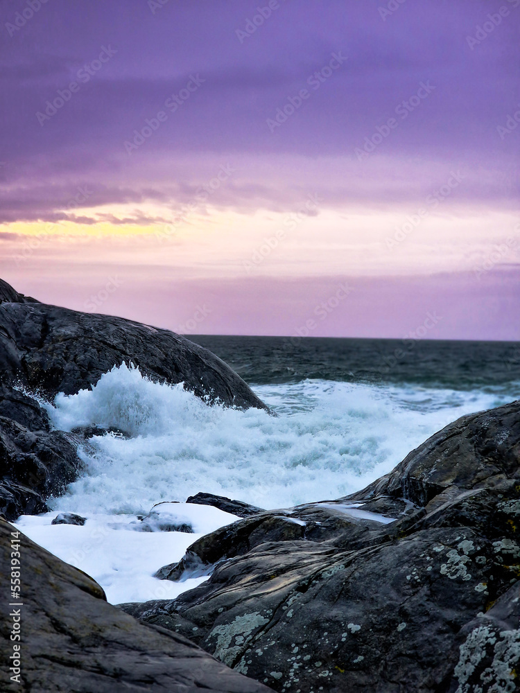 Fototapeta premium Ocean song 