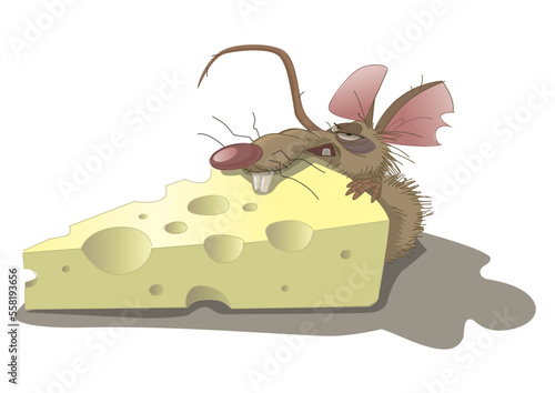mouse cheese