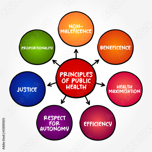 Principles of public health (science and art of preventing disease, prolonging life and promoting health through the organized efforts) mind map text concept background