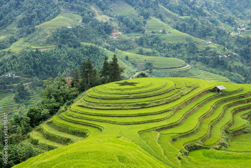  Rice terraces with a star in the center