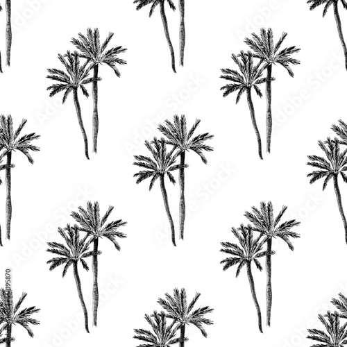 Palm trees seamless pattern on white background