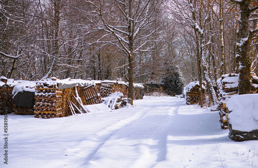 Naklejka premium Winterwetter Kaminholz Stapel