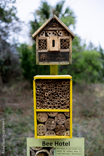 Bee hotel in the woods © @robertmilici