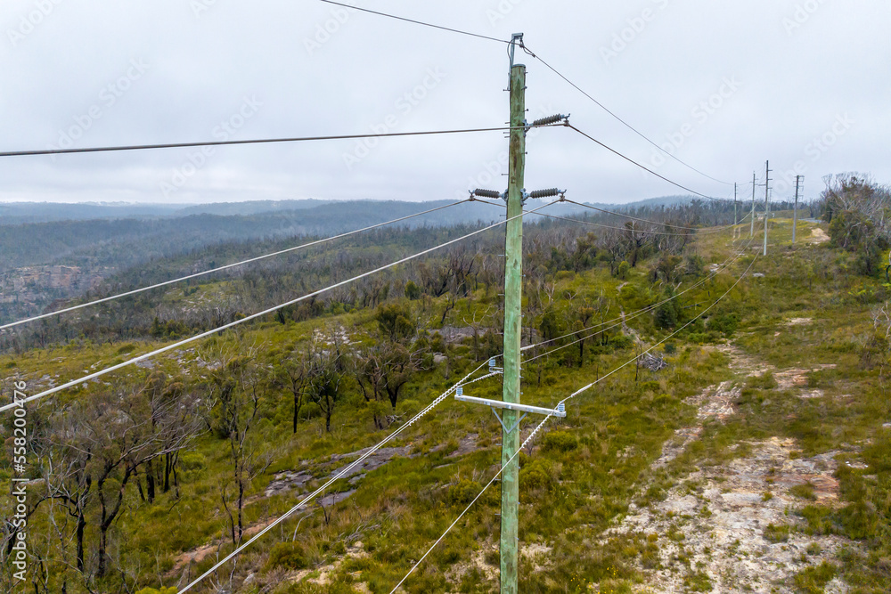 Photograph of a green wooden powerline pole with a multitude of transmission wires and connectors Photograph of a green wooden powerline pole with a multitude of transmission wires and connectors
