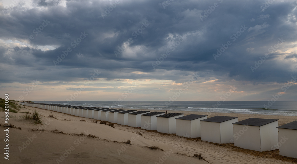 beach and sea