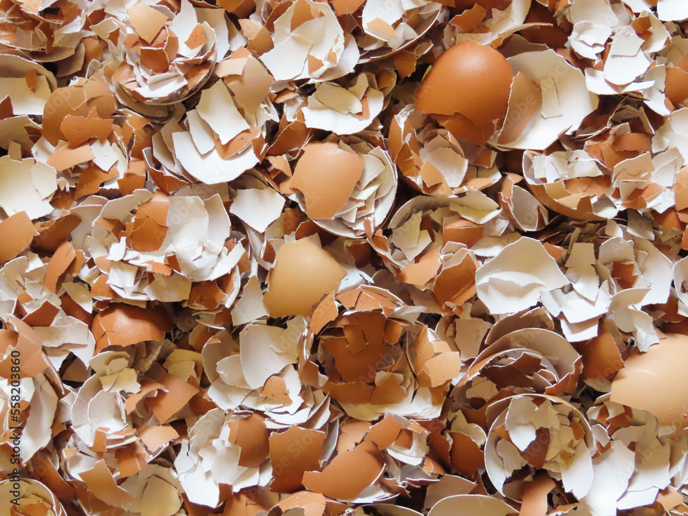 Top view of crushed and cracked eggshells for make biofertilizer Top view of crushed and cracked eggshells for make biofertilizer