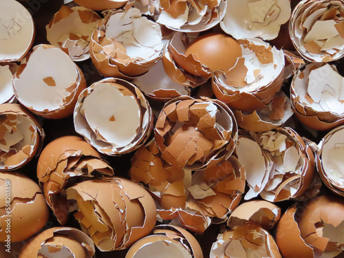 Close up of crushed and cracked eggshells for make biofertilizer photo