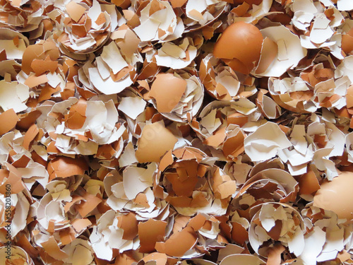 Top view of crushed and cracked eggshells for make biofertilizer photo