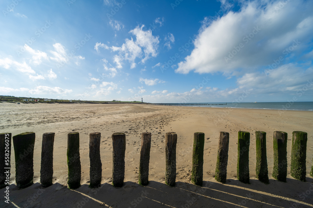 Wooden poles on the beach in Breskens, the Netherlands