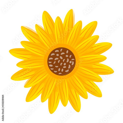 Blooming Flower 