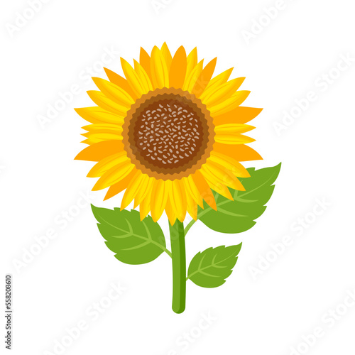 Blooming Flower 