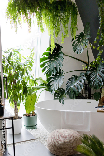 White bathroom with bathtub, green plants
