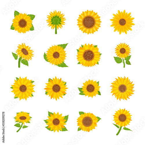Set of Flat Spring Flower Vectors 

