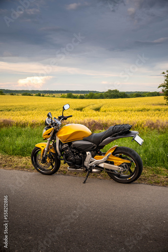 Gold wheat field with the motorcycle