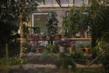 Greenhouse in Kutaisi Botanical Garden