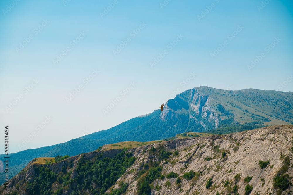 Mountain landscape in the warm season. Mountains and hills covered with forest, and blue sky. Beauty is in nature.