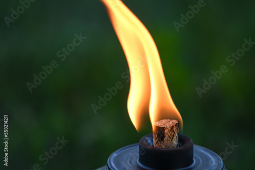 burning candle with vibrant colors and soft green background 