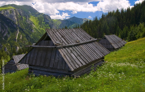 Obraz na płótnie Highlander's huts and wooden architecture. w salonie